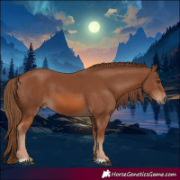 Horse Color:Chestnut 