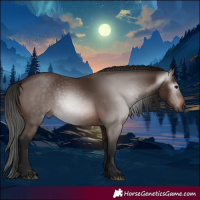Horse Color:Gray Bay 
