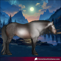Horse Color:Gray Bay 
