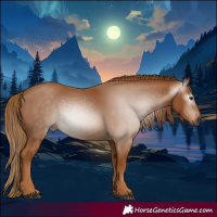 Horse Color:Gray Chestnut 