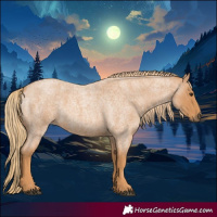 Horse Color:Red Roan 
