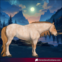Horse Color:Red Roan 