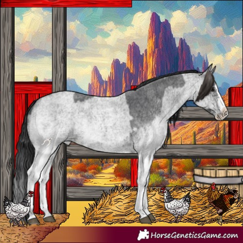 Horse Color:White Spotted Blue Roan Rabicano  and White Spotted Blue Roan Splash Rabicano 