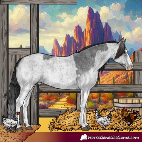 Horse Color:White Spotted Blue Roan Rabicano  and White Spotted Blue Roan Splash Rabicano 