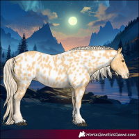 Horse Color:Palomino Near Leopard 
