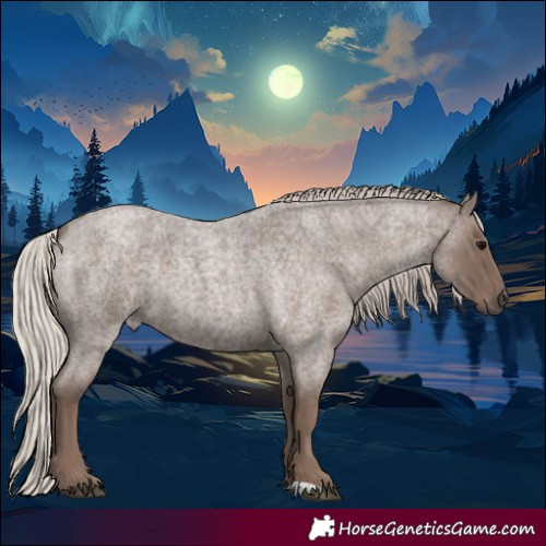 Horse Color:Silver Blue Roan 