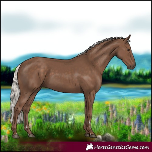 Horse Color:Silver Black