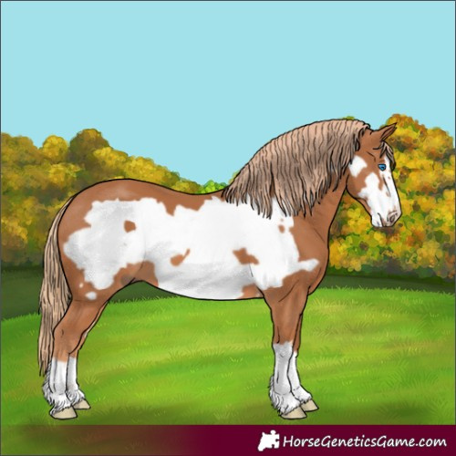 Horse Color:Chestnut Frame