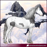 Horse Color:Smoky Black Splash Tobiano Appaloosa Rabicano 