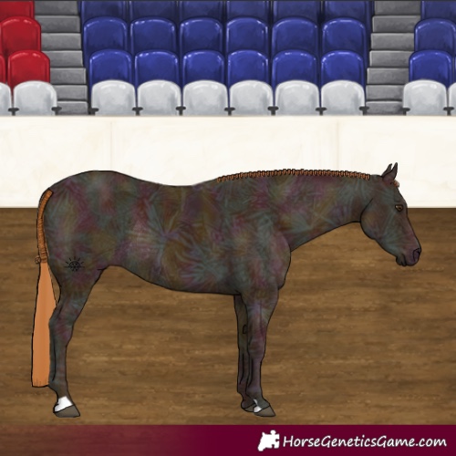 Horse Color:Midnight Chestnut Ice Rabicano 