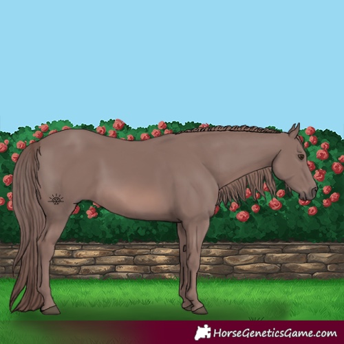 Horse Color:Platinum Chestnut 