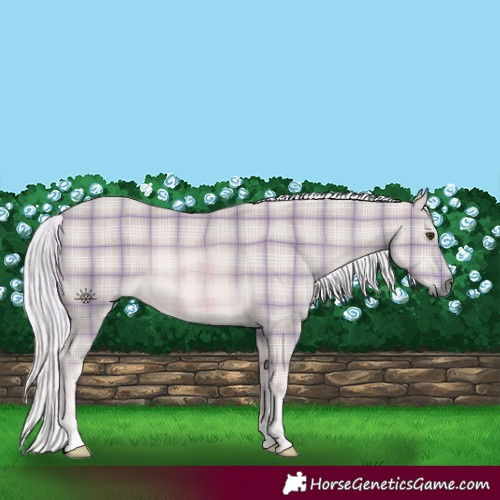 Horse Color:Platinum Plaid  Palomino 