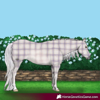 Horse Color:Platinum Plaid  Palomino 