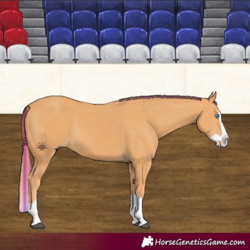 Horse Color:Painted Chestnut Splash 
