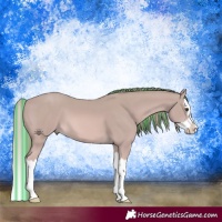 Horse Color:Platinum Painted Chestnut Splash 