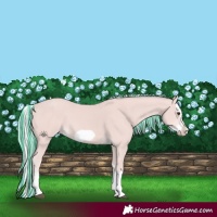 Horse Color:Platinum Painted Chestnut Splash Frame 