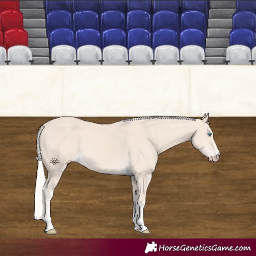 Horse Color:Cremello 