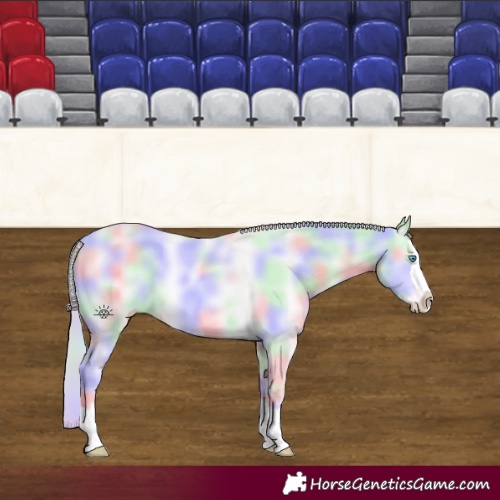 Horse Color:Nacre Cremello Splash 