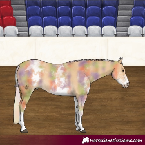 Horse Color:Nacre White Spotted Palomino Dun 