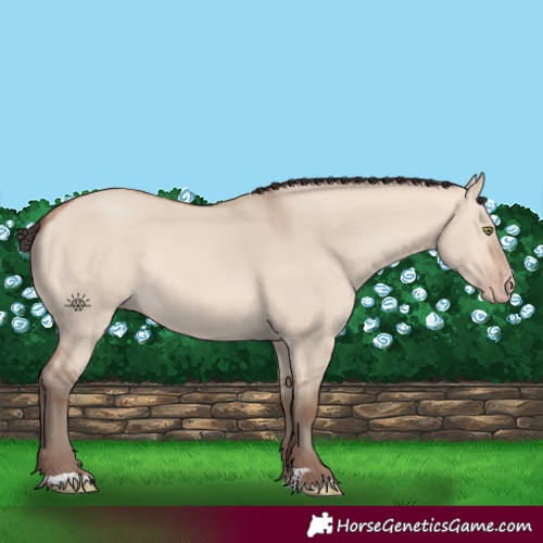 Horse Color:Amber Champagne Dun Rabicano 