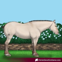 Horse Color:Amber Champagne Dun Rabicano