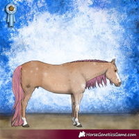 Horse Color:Painted Chestnut 
