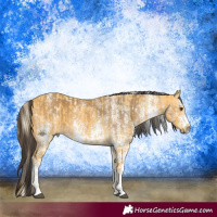 Horse Color:White Spotted Palomino  and White Spotted Buckskin 