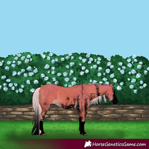 Horse Color:Void Watercolor White Spotted Palomino Splash 