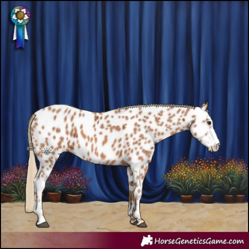 Horse Color:Chestnut Ice Sabino Leopard 