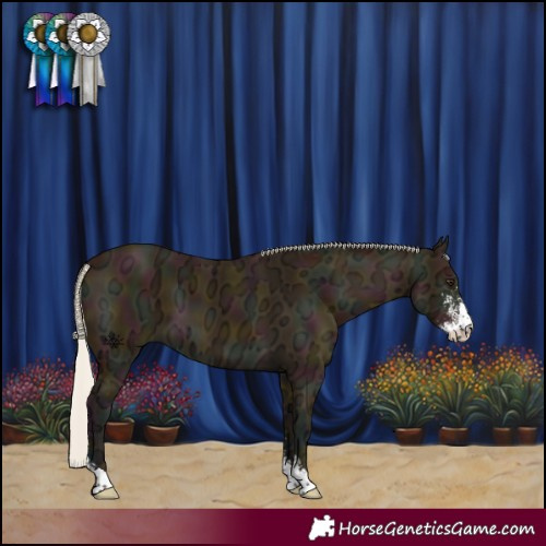 Horse Color:Midnight Silver Buckskin Ice Sabino 