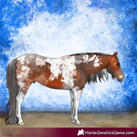 Horse Color:Bay Tobiano Rabicano  and Bay Tobiano 