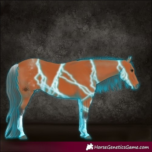 Horse Color:Thunderstruck White Spotted Bay 