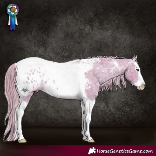 Horse Color:Watercolor Chestnut Ice Splash Tobiano Appaloosa 