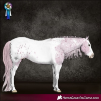 Horse Color:Watercolor Chestnut Ice Splash Tobiano Appaloosa 