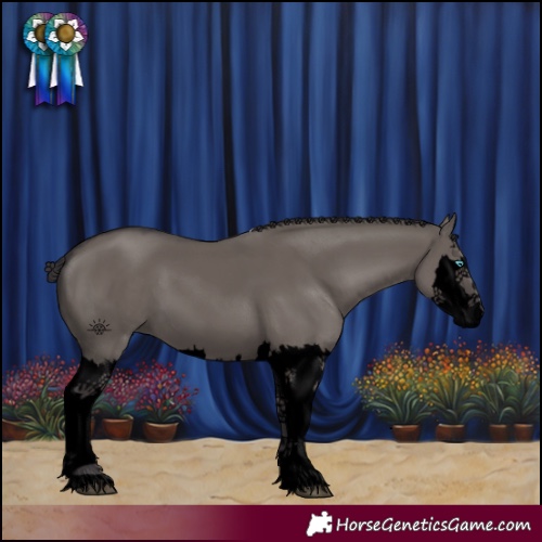 Horse Color:Void Smoky Grullo Splash 
