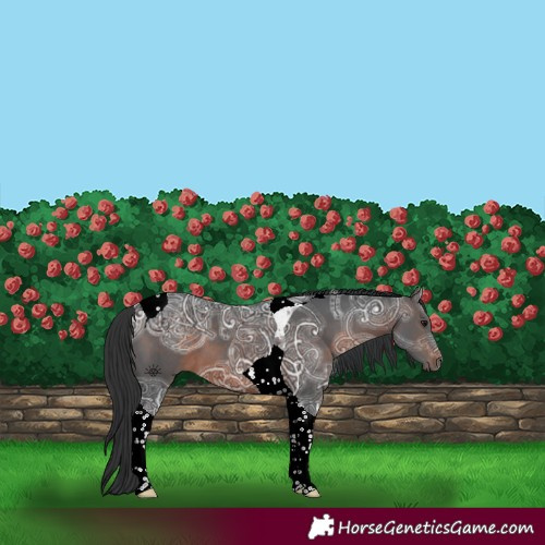 Horse Color:Brown Ice Tobiano 