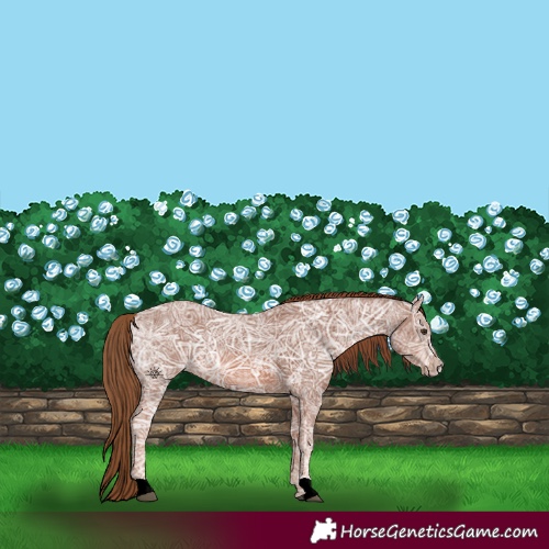 Horse Color:Chestnut Ice 