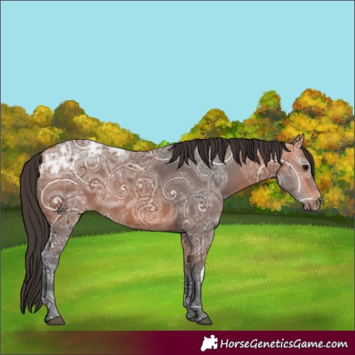 Horse Color:Bay Ice 