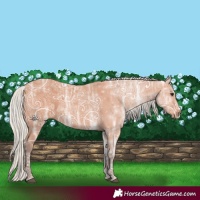 Horse Color:Silver Bay Ice 