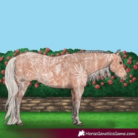 Horse Color:Silver Bay Ice 