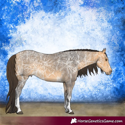 Horse Color:Buckskin Ice Tobiano 