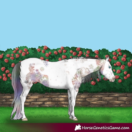 Horse Color:Nacre White Spotted Brown Ice Dun Splash Tobiano 