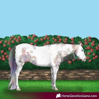 Horse Color:Nacre White Spotted Brown Ice Dun Splash Tobiano 