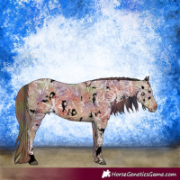Horse Color:Void Nacre White Spotted Chestnut Ice