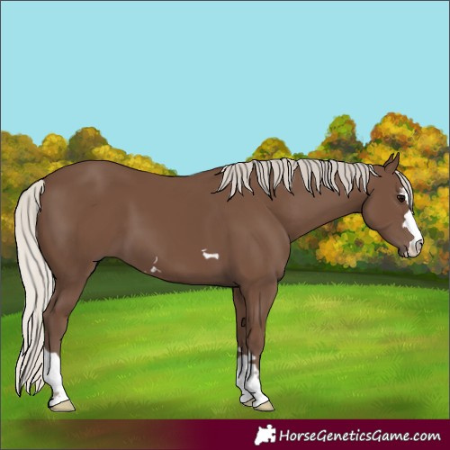 Horse Color:Silver Black 