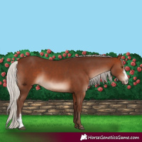 Horse Color:Silver Brown Sabino 
