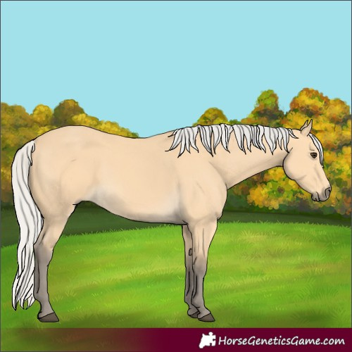 Horse Color:Silver Buckskin 