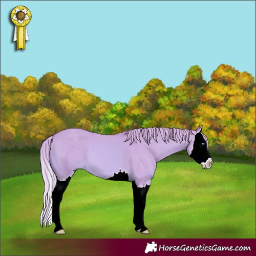 Horse Color:Watercolor Red Dun Splash 