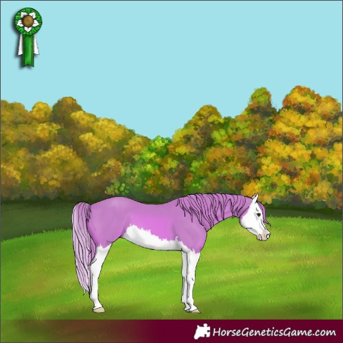 Horse Color:Watercolor Chestnut Splash 