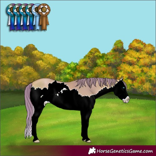 Horse Color:Watercolor Bay Pearl Splash 